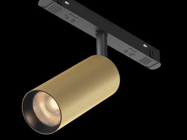 Трековый светильник Technical TR097-2-12W3K-M-BMG фото:6