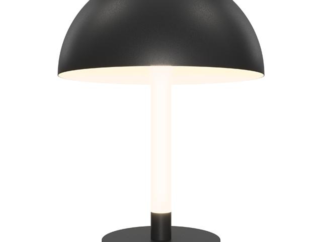 Настольный светильник Maytoni Z012TL-L8B3K фото:14
