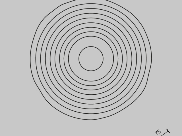 Настенный светильник (бра) Maytoni MOD343WL-L5BS3K1 фото:8