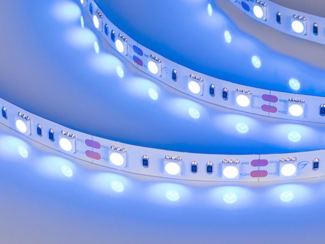 Лента RT 2-5000 12V Blue 2x (5060, 300 LED, LUX) (Arlight, 14.4 Вт/м, IP20) фото:4