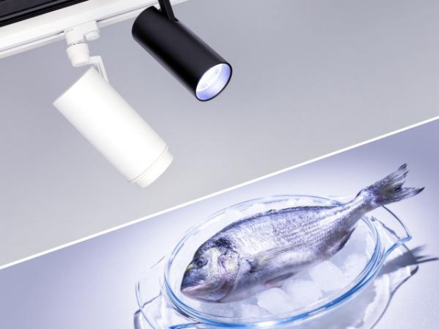 Светильник LGD-ZEUS-4TR-R100-30W Cool SP7500-Fish (BK, 20-60 deg, 230V) (Arlight, IP20 Металл, 3 года) фото:5