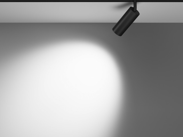 Трековый светильник Technical TR032-2-12W4K-W-B фото:19