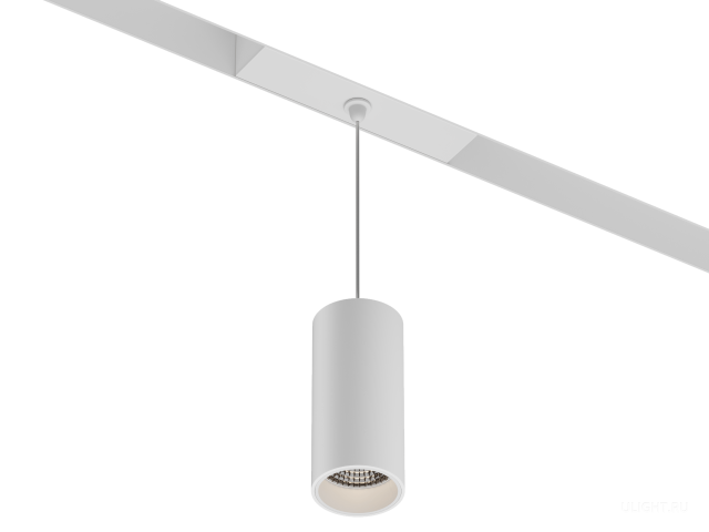 HOKASU OneLine Tube Hang (RAL9003/D55/120mm — 2.7K/10W/10deg) фото:1
