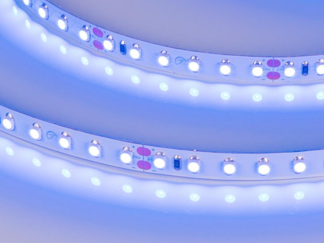 Лента RT 2-5000 24V Blue 2x (3528, 600 LED, LUX) (Arlight, 9.6 Вт/м, IP20) фото:11