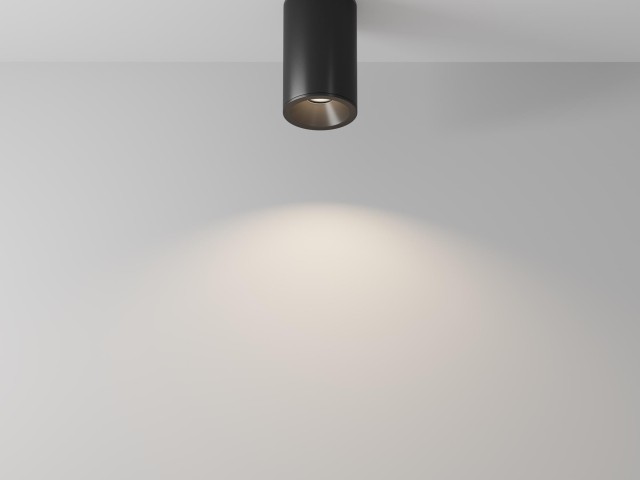 Потолочный светильник Technical C029CL-01-S-B фото:4