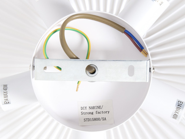 Потолочный светильник Freya FR5510CL-05W фото:2