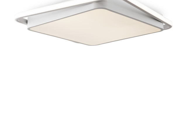 Потолочный светильник Freya FR10030CL-L88W фото:9
