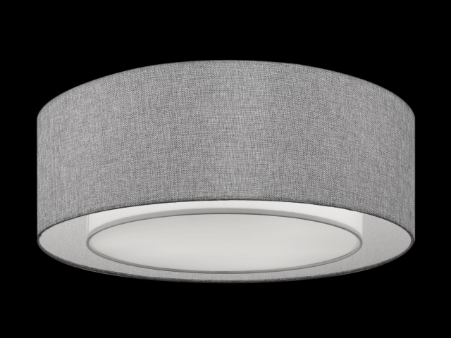 Потолочный светильник Maytoni MOD613CL-04GR фото:11