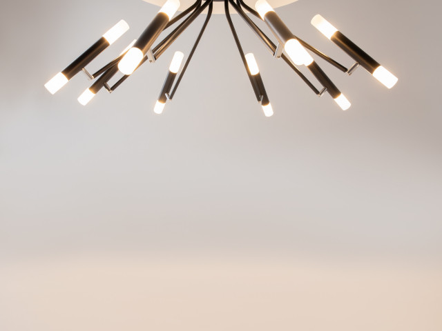 Потолочный светильник Maytoni MOD620CL-16B фото:1