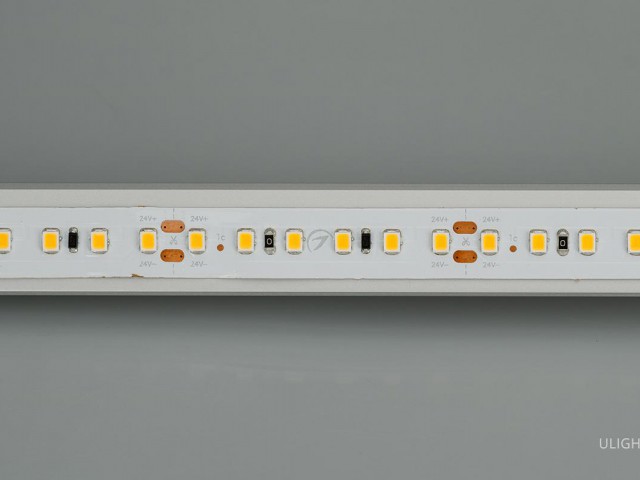 Лента IC2-20000 24V Day4000 2x 12mm (2835, 120 LED/m, Long) (Arlight, 9.6 Вт/м, IP20) фото:5
