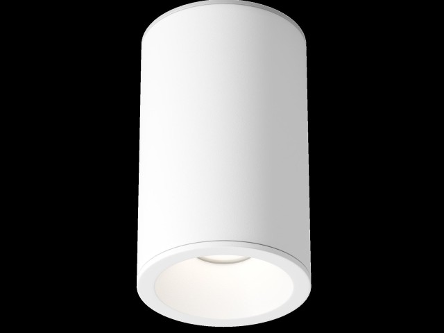 Потолочный светильник Technical C029CL-01-S-W фото:6