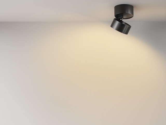 Потолочный светильник Technical C024CL-12W2.7K-B-1 фото:16