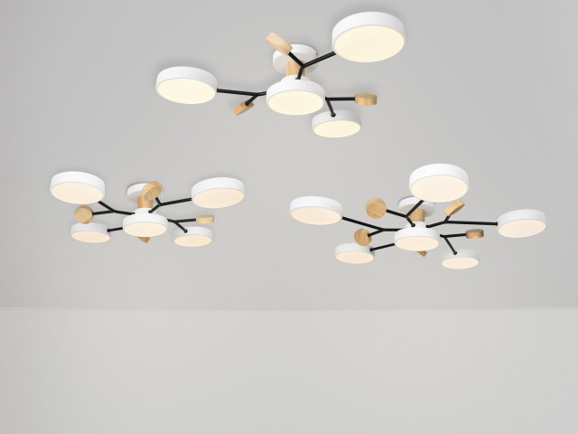 Потолочный светильник Freya FR6119CL-L48W фото:3