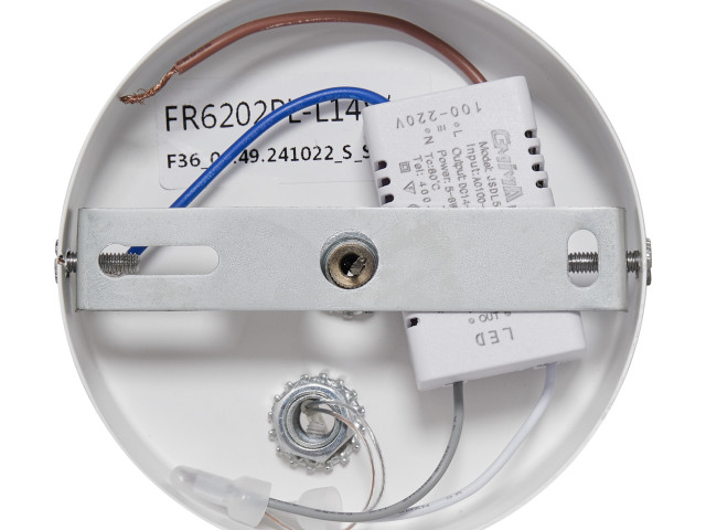 Подвесной светильник Freya FR6202PL-L14W фото:1