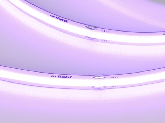 Лента COB-X480-8mm 24V Violet (8 W/m, IP20, 5m) (Arlight, -) фото:1