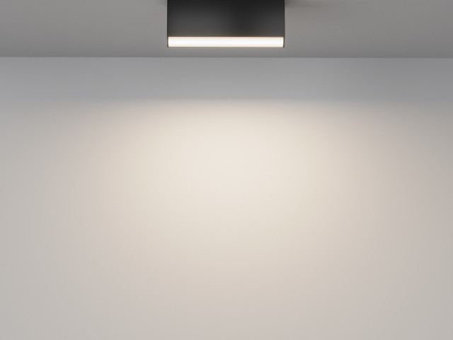 Потолочный светильник Technical C068CL-12W3-6K-B фото:3