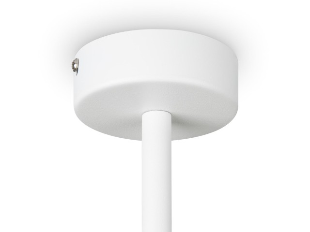 Потолочный светильник Freya FR5363CL-06W фото:2