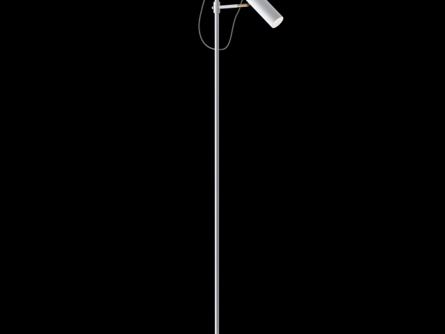 Напольный светильник (торшер) Maytoni MOD129FL-01W фото:15