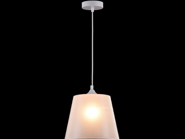 Подвесной светильник Maytoni P528PL-01W фото:4