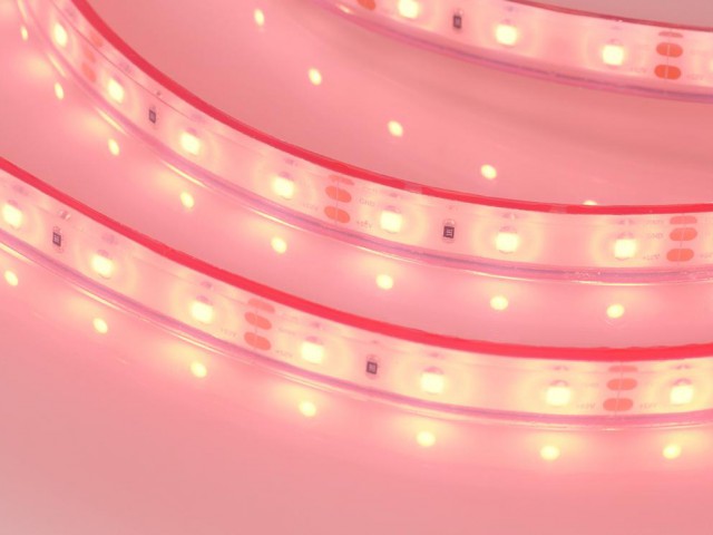Лента герметичная RTW-PFS-A60-11mm 12V Red (4.8 W/m, IP68, 2835, 5m) (Arlight, -) фото:1