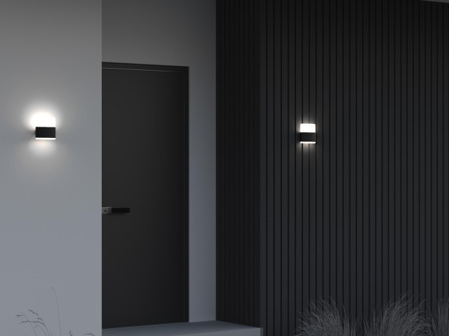 Настенный светильник (бра) Outdoor O442WL-L12GF3K1 фото:1