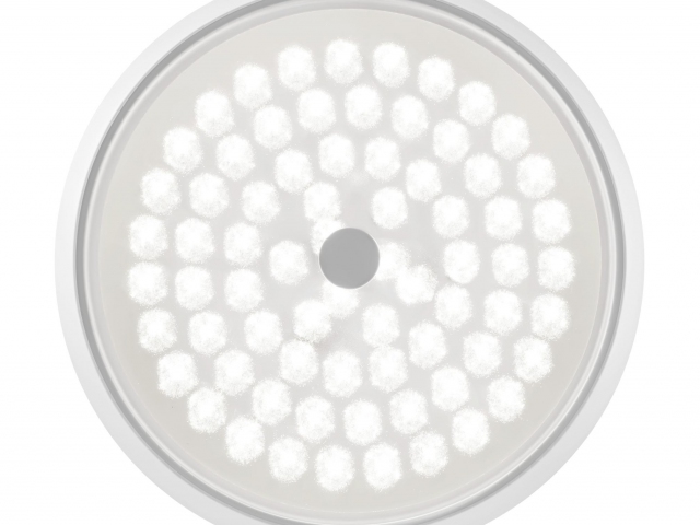 Потолочный светильник Freya FR10012CL-L24W фото:1