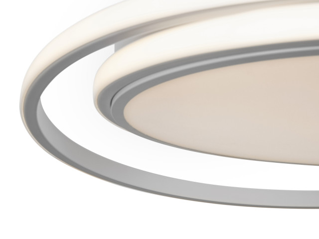 Потолочный светильник Freya FR10032CL-L98W фото:1