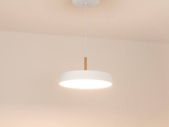 Светильник SP-ELEGANT-R300-17W Warm3000 (WH, 120 deg, 230V) (Arlight, IP20 Металл, 3 года) фото:8