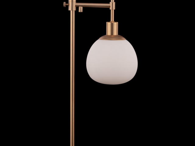 Настольный светильник Maytoni MOD221-TL-01-G фото:18