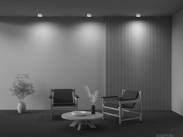 Потолочный светильник Technical C032CL-12W3K-RD-W фото:4