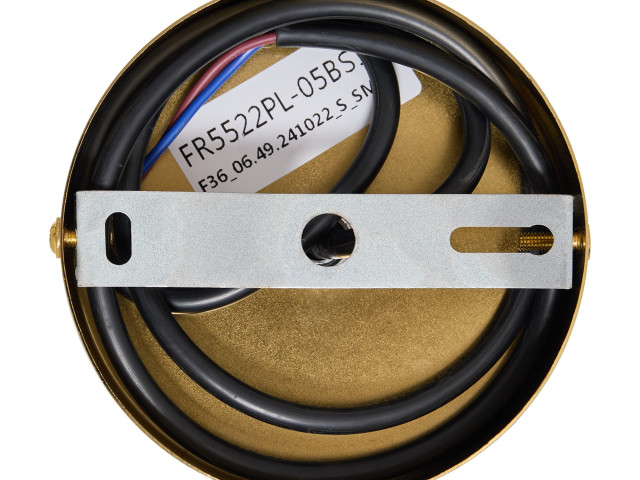 Люстра Freya FR5522PL-05BS1 фото:2