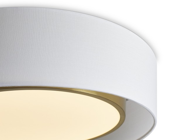Потолочный светильник Freya FR6170CL-L52BS фото:2