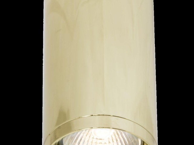 Потолочный светильник Technical C010CL-01G фото:2