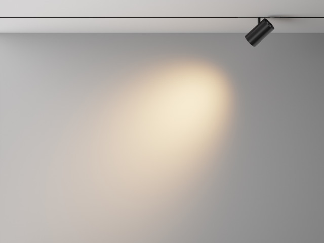 Трековый светильник Technical TR243-4-12WTW-DSZ-B фото:5