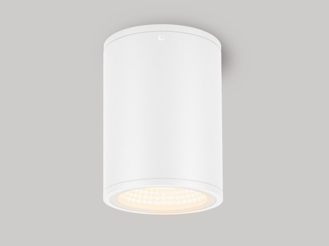 Светильник LGD-FORMA-SURFACE-R90-12W Day4000 (WH, 44 deg, 230V) (Arlight, IP54 Металл, 3 года) фото:5