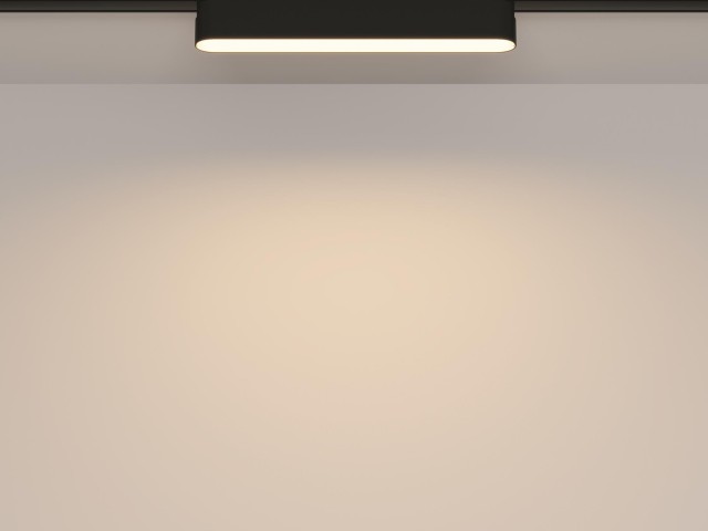 Трековый светильник Technical TR080-1-12W3K-B фото:9