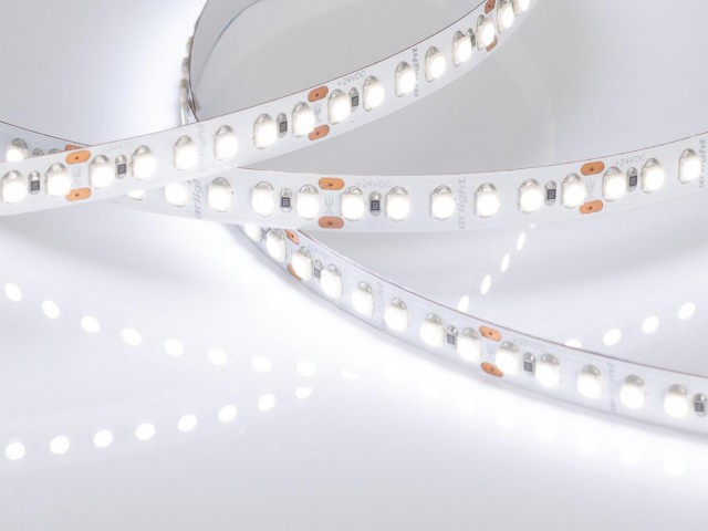 Лента RT6-3528-180 24V White6000 3x (900 LED) (Arlight, 14.4 Вт/м, IP20) фото:2