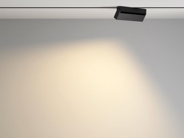 Трековый светильник Technical TR077-2-20W3K-B фото:6
