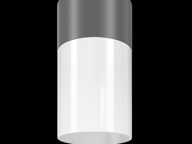 Уличный потолочный светильник Outdoor O418CL-01GR фото:11