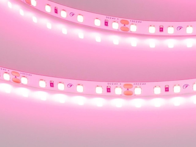 Лента RT-A120-8mm 24V Pink (9.6 W/m, IP20, 2835, 5m) (Arlight, -) фото:2