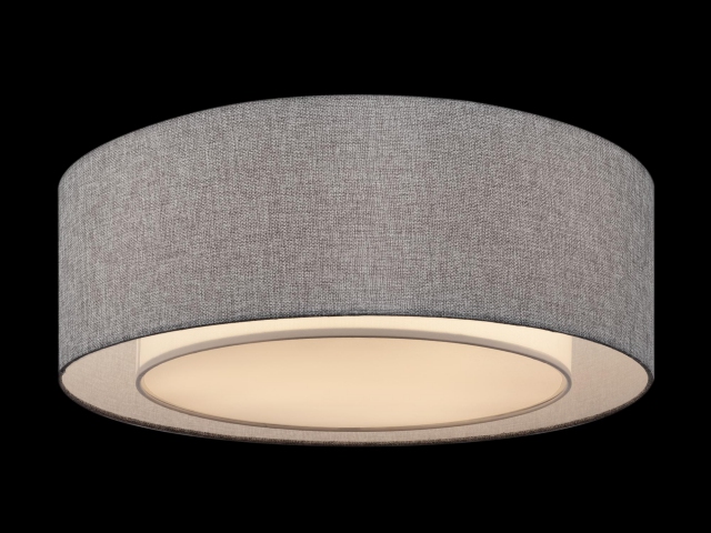 Потолочный светильник Maytoni MOD613CL-04GR фото:12