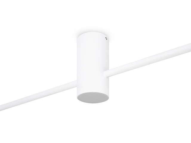 Потолочный светильник Freya FR5363CL-02W1 фото:1