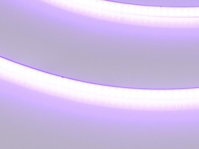 Лента COB-X480-4mm 24V Violet (4 W/m, IP20, 5m) (Arlight, -) фото:4