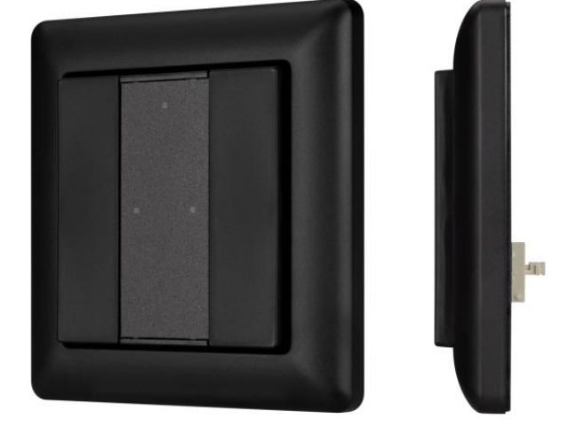 INTELLIGENT ARLIGHT Панель DALI-223-2K-D2-IN-BLACK (BUS, Free purpose) (IARL, -) фото:9
