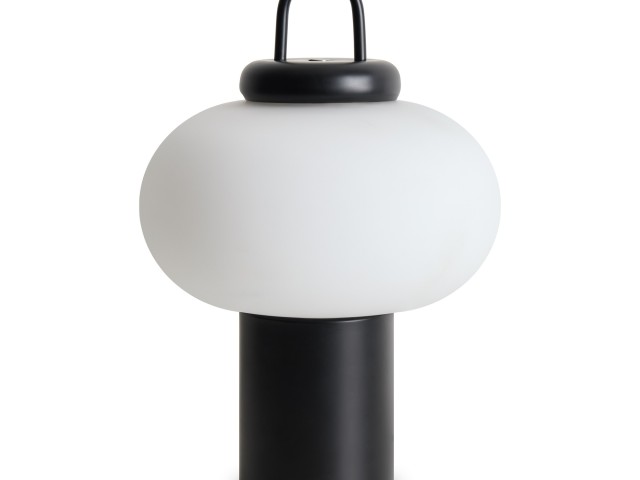 Настольный светильник Freya FR6175TL-L10B фото:5