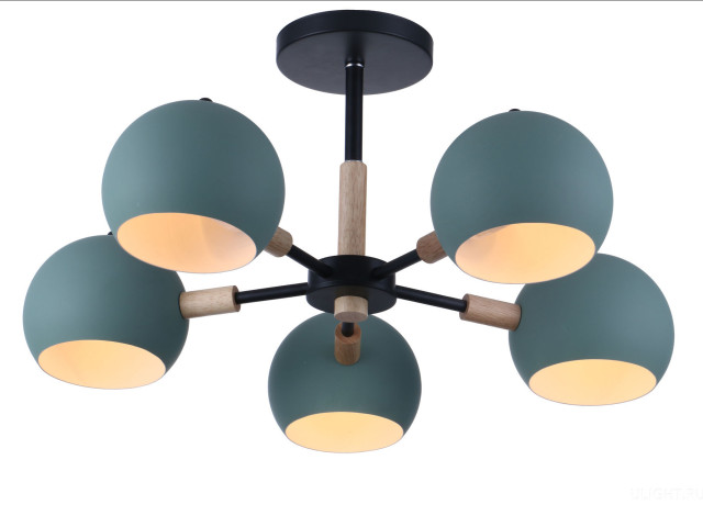 Потолочный светильник Freya FR5032CL-05B фото:1