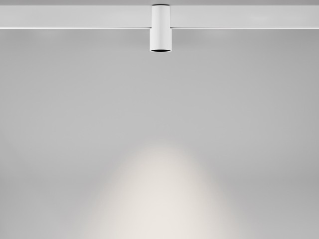 Трековый светильник Technical TR122-2-7W4K-W фото:5