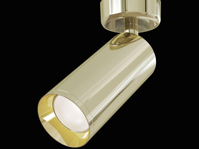 Потолочный светильник Technical C017CW-01G фото:4