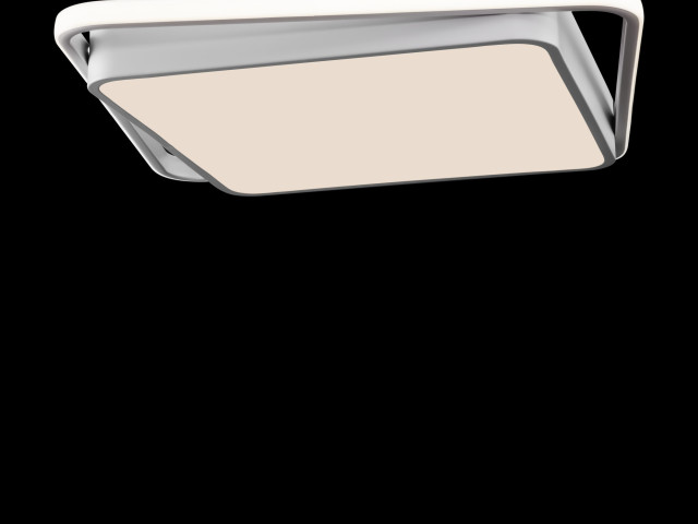 Потолочный светильник Freya FR10030CL-L88W фото:9