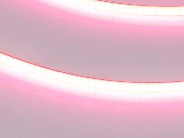 Лента COB-X480-4mm 24V Pink (4 W/m, IP20, 5m) (Arlight, -) фото:2